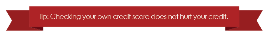 Identity Guard checking your credit monitoring 